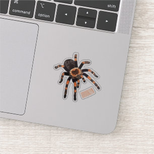 Pegatina Ilustracion personalizado de Tarantula