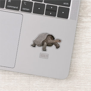 Pegatina Ilustracion personalizado de tortugas de Galápagos