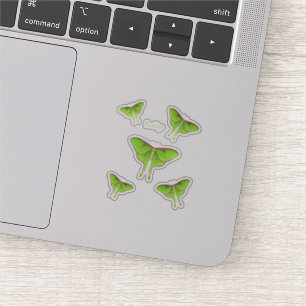 Pegatina Ilustracion personalizado Luna Moth