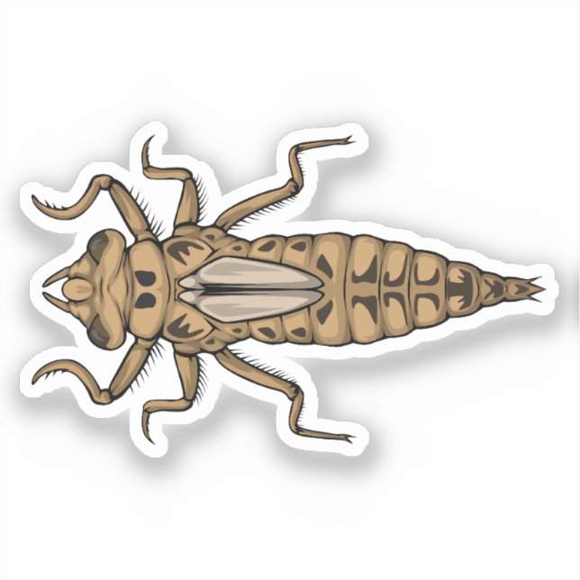 Pegatina Ilustracion vector Dragonfly Nymph (Anverso)