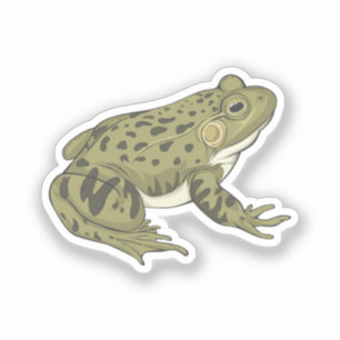 Pegatina Ilustracion vectorial de rana leopardo