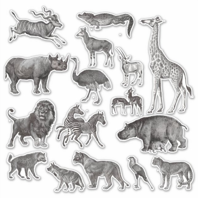 Pegatina Ilustraciones de cosecha de animales africanos (Anverso)
