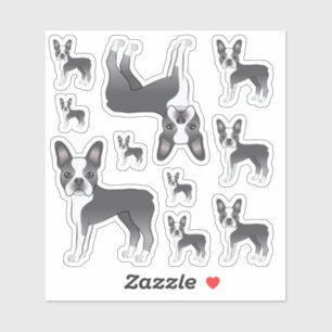 Pegatina Ilustraciones de perro Boston Terrier azul y blanc