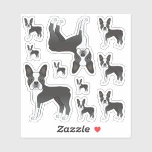 Pegatina Ilustraciones de perro Boston Terrier en blanco y 