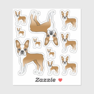 Pegatina Ilustraciones Fawn Y White Boston Terrier Dog