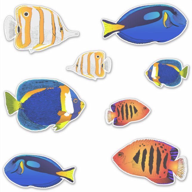 Pegatina Ilustraciones tropicales de peces de arrecife acua (Anverso)