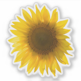 Pegatina imagen real de girasol amarillo