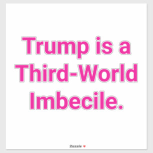 Pegatina Imbécil Trump Tercer Mundo Hankamer Artjunkhaus
