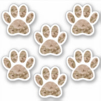 Impresión de las garras de perro del desierto Camo