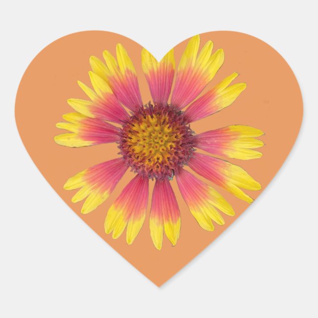 Pegatina indio de una manta (Anverso)