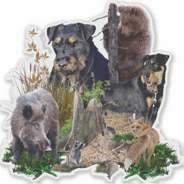 Pegatina Jagdterrier Apache contra Renbrad. (Anverso)