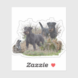 Pegatina Jagdterrier, Bo contra Renbrad Kennel".