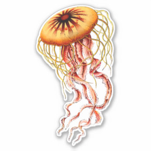 Pegatina Jellyfish