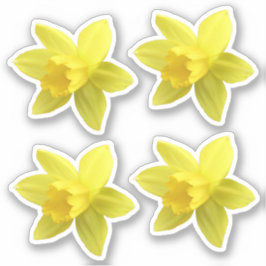 Pegatina Juego de cuatro floraciones de Daffodil Amarillo