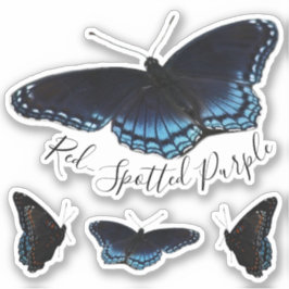 Pegatina Juego de mariposa púrpura de manchas rojas