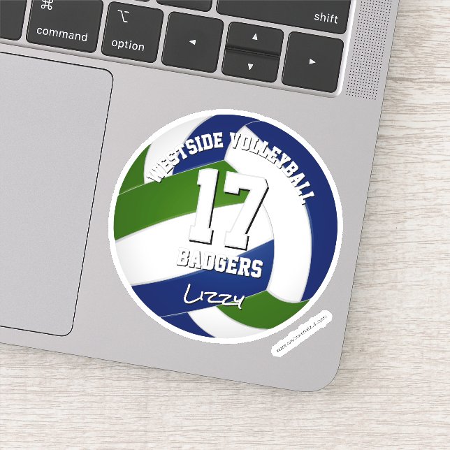 Pegatina jugador de voleibol de color verde azul (Detalle)