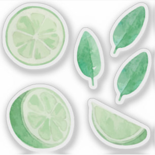 Pegatina Jugo de limón limas verdes hoja de cítricos conjun