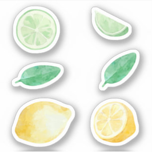 Pegatina Jugo de limón y lima limonada set acuarela