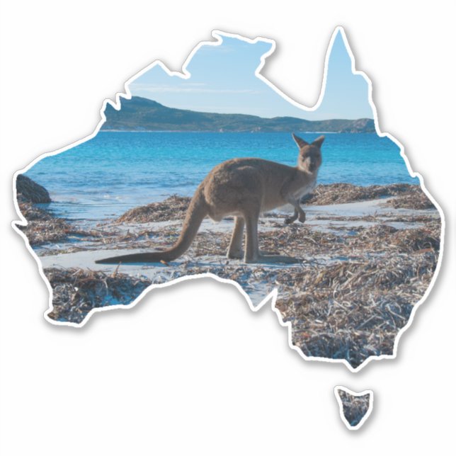 Pegatina Kangaroo en la Bahía Lucky Bay Australia (Anverso)