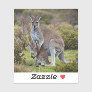 Pegatina Kangaroo y Joey