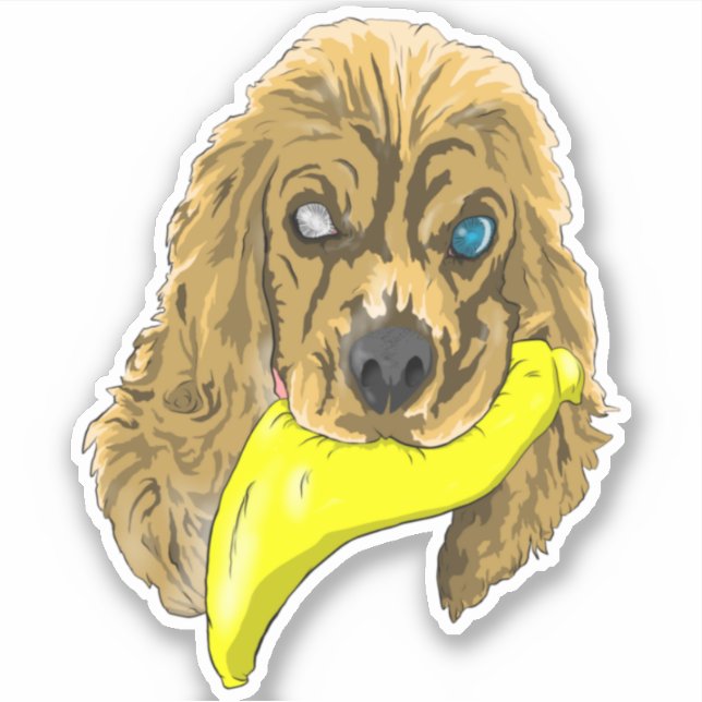 Pegatina Keys & Banana, el espátula de cocker en miniatura (Anverso)