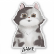 Kitty blanco y negro personalizado