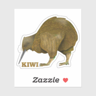 Pegatina Kiwi N.Z. Bird