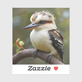 Pegatina Kookaburra
