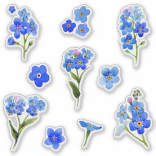 Pegatina La nomeolvides azul de la acuarela florece el