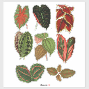 Pegatina La planta de jardín deja ilustraciones de arte bot