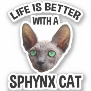 Pegatina La Vida Es Mejor Con Un Gato Sfinx