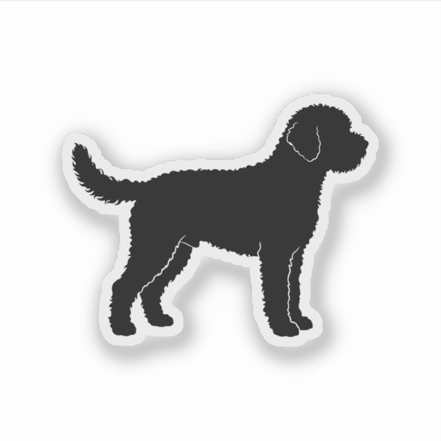 Pegatina Lagotto Romagnolo (Anverso)