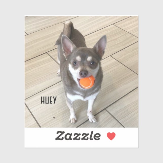 Pegatina Laptop Huey (Hoja)