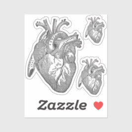 Pegatina Large Labelled Vintage Anatomical Heart, Black 