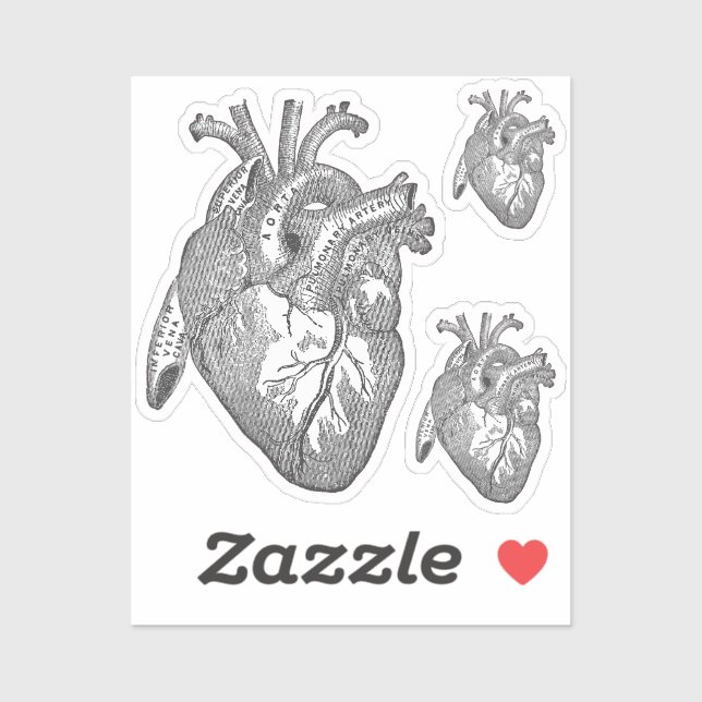 Pegatina Large Labelled Vintage Anatomical Heart, Black  (Hoja)