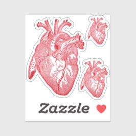 Pegatina Large Labelled Vintage Anatomical Heart, Red