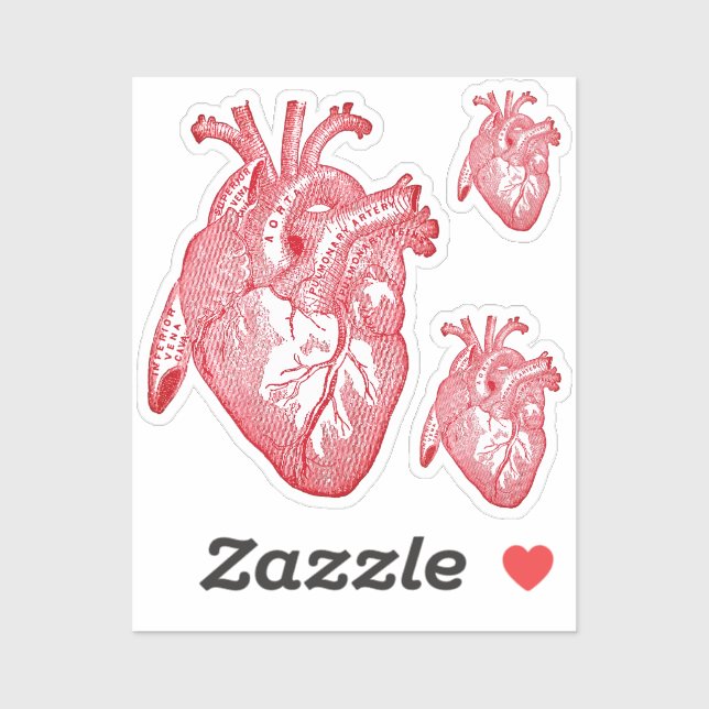 Pegatina Large Labelled Vintage Anatomical Heart, Red (Hoja)