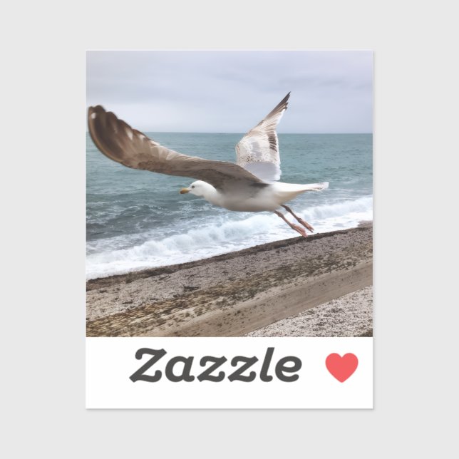 Pegatina Le goëland d'Etretat français (Hoja)