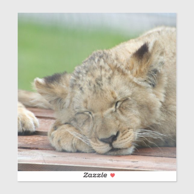 Pegatina León 014 (Hoja)