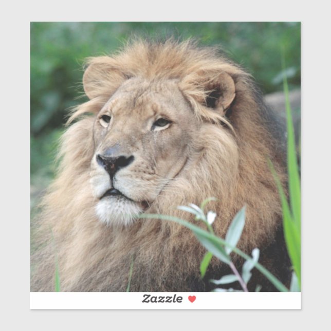 Pegatina León 021 (Hoja)