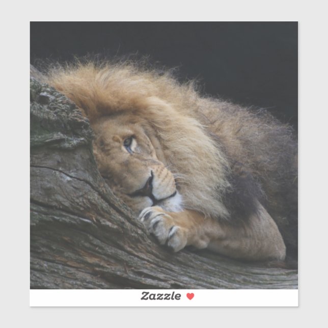 Pegatina León 030 (Hoja)