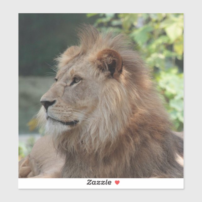 Pegatina León 035 (Hoja)