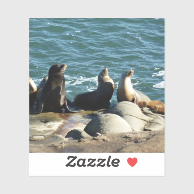 Pegatina Leones del mar de San Diego (Hoja)