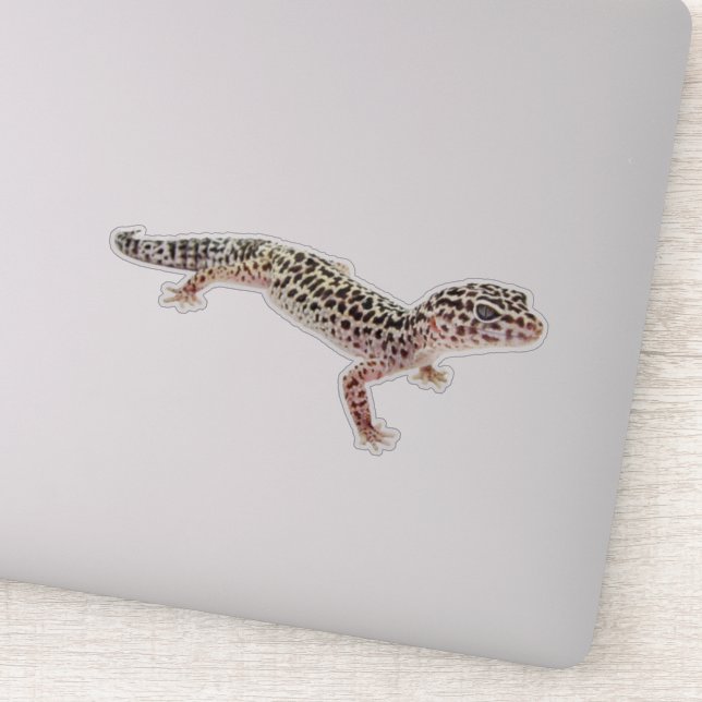Pegatina Leopard Gecko (Detalle)