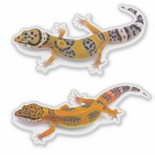 Pegatina Leopard Gecko Lizard