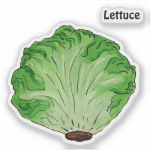 Pegatina Lettuce