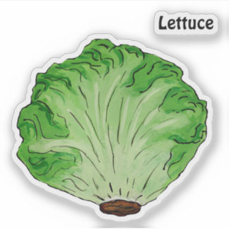 Pegatina Lettuce