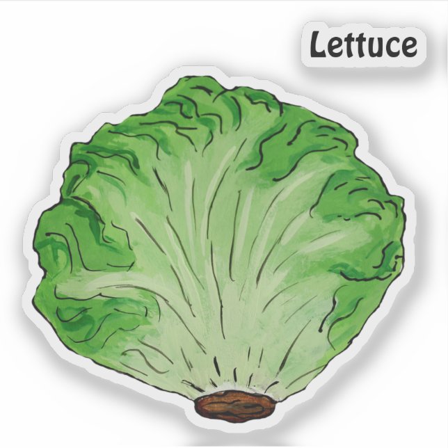 Pegatina Lettuce (Anverso)