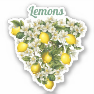 Pegatina Limones