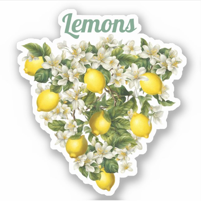 Pegatina Limones (Anverso)